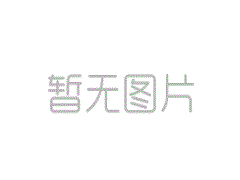 葉片泵使用須知：
